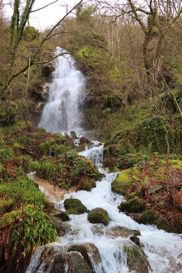Affittacamere Quinta da Riba Má Santa Leocadia Esterno foto