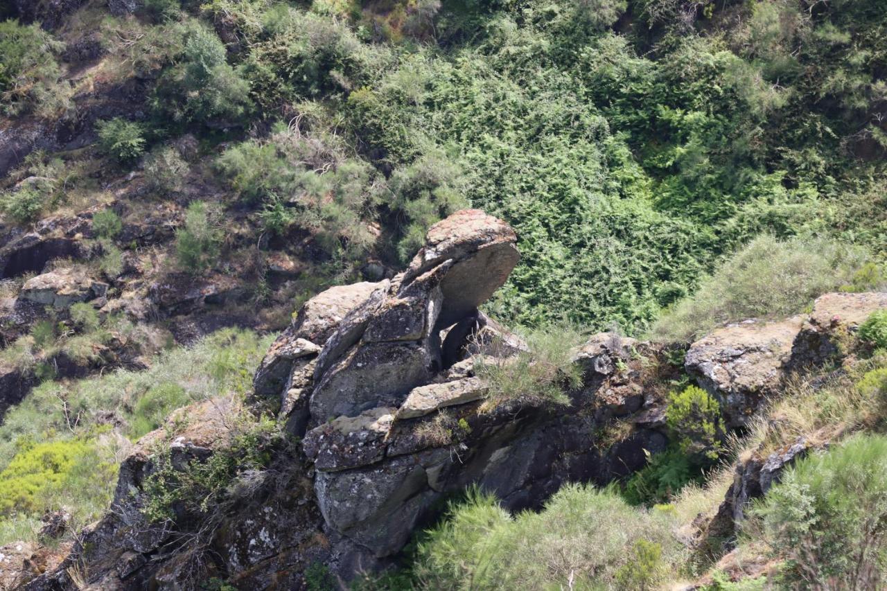 Affittacamere Quinta da Riba Má Santa Leocadia Esterno foto