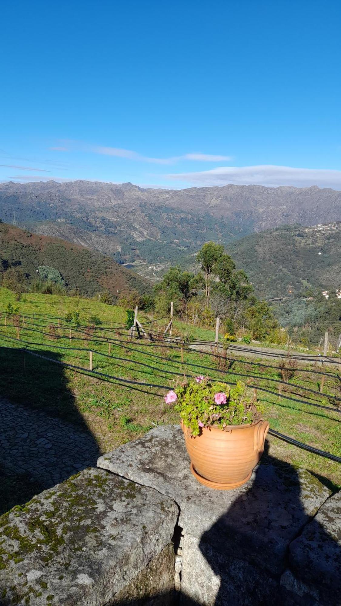 Affittacamere Quinta da Riba Má Santa Leocadia Esterno foto